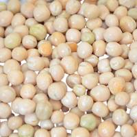 Matar / Dry Peas (500 Grams)