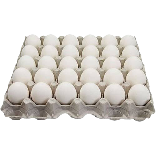 White Fresh Eggs
